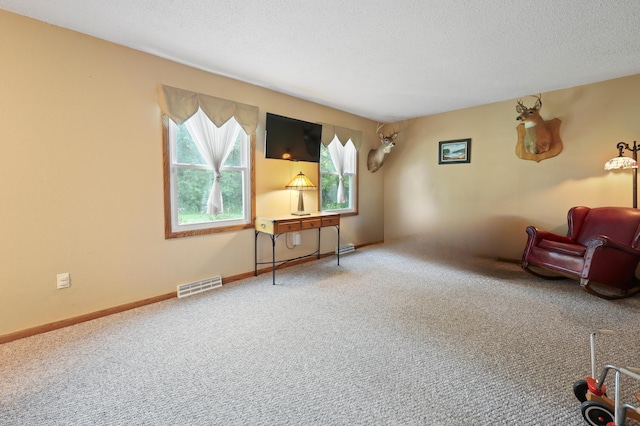 5100 16th St NE, Minden Twp, MN 56379 - sitting room featuring carpet flooring and a textured ceiling