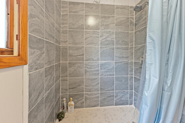 5100 16th St NE, Minden Twp, MN 56379 - full bath with a tile shower