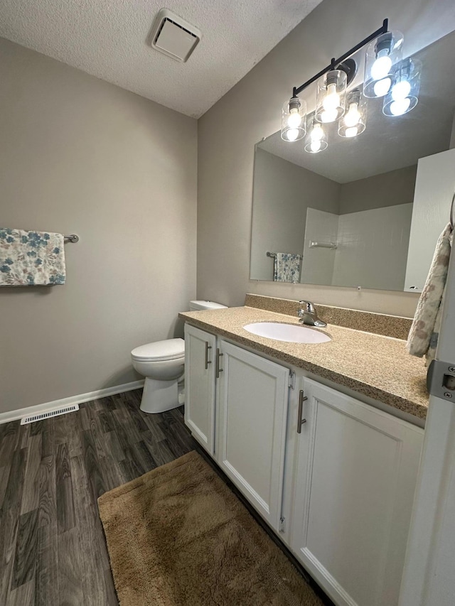12619 Alder St NW, Coon Rapids, MN 55448 - bathroom featuring wood finished floors, vanity, and a textured ceiling