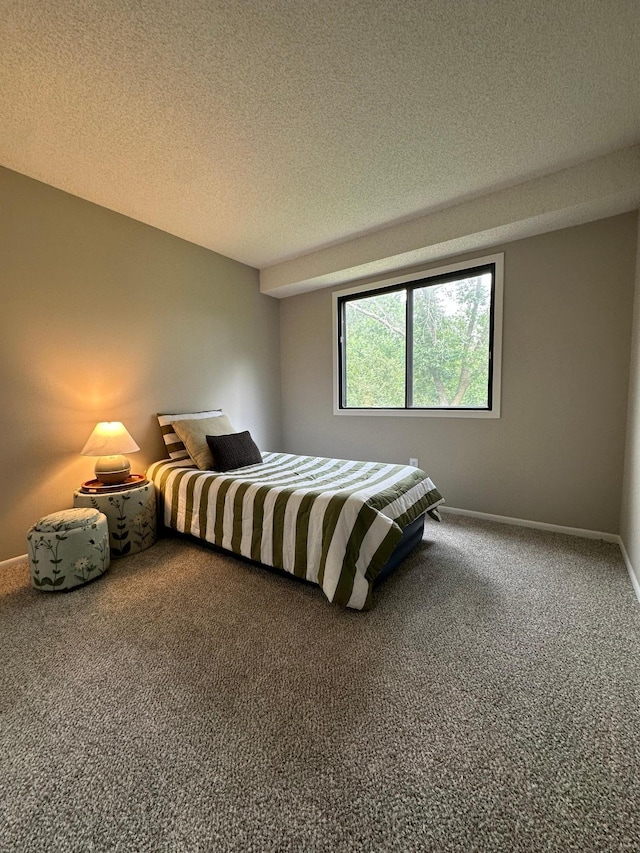 12619 Alder St NW, Coon Rapids, MN 55448 - carpeted bedroom featuring a textured ceiling and baseboards