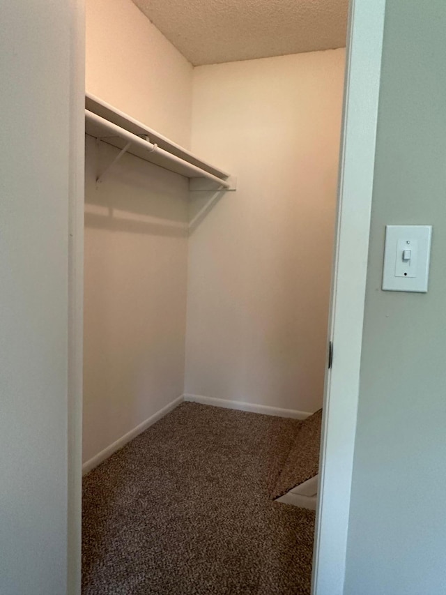 12619 Alder St NW, Coon Rapids, MN 55448 - spacious closet featuring carpet flooring