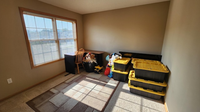 3037 Venice Ln NW, Rochester, MN 55901 - photo 18