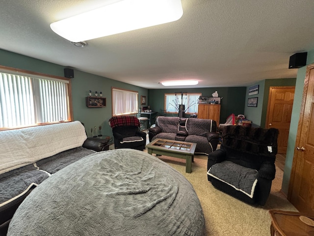 1420 4th St SW, Wadena, MN 56482 - carpeted living area featuring healthy amount of natural light and a textured ceiling