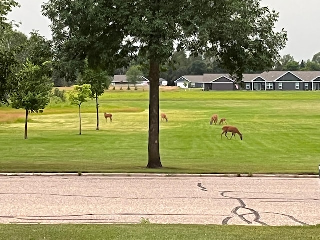 1420 4th St SW, Wadena, MN 56482 - view of community with a lawn and view of golf course