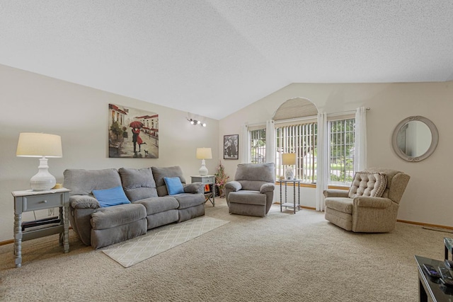 114 Oxford Path, Mankato, MN 56001 - living area featuring carpet, vaulted ceiling, and a textured ceiling
