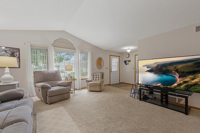 114 Oxford Path, Mankato, MN 56001 - carpeted living area featuring lofted ceiling and a textured ceiling