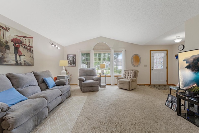 114 Oxford Path, Mankato, MN 56001 - living area with vaulted ceiling, carpet, and a textured ceiling