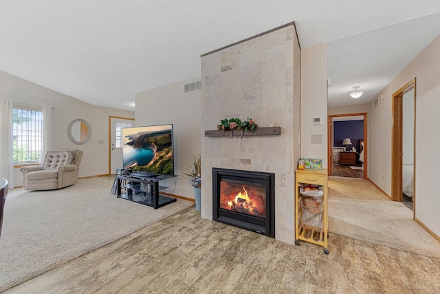 114 Oxford Path, Mankato, MN 56001 - carpeted living room with a fireplace and wood finished floors