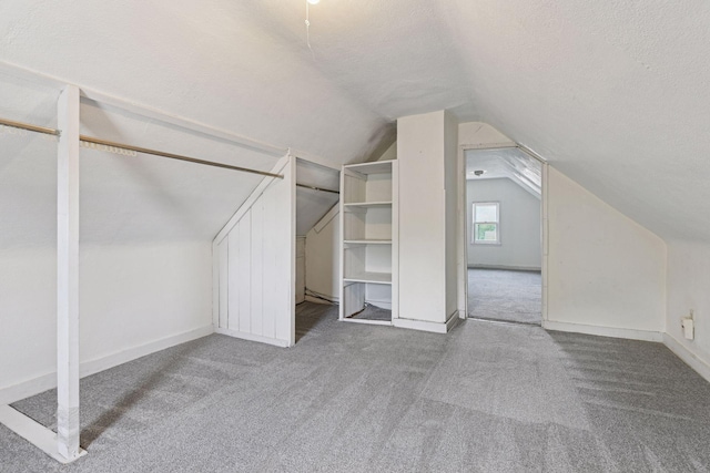 1108 16th Ave SE, Minneapolis, MN 55414 - bonus room with carpet flooring, lofted ceiling, and a textured ceiling