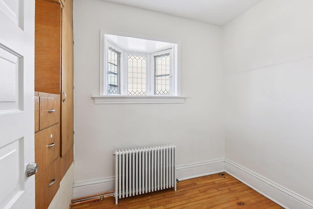 1108 16th Ave SE, Minneapolis, MN 55414 - detailed view of radiator heating unit and wood finished floors