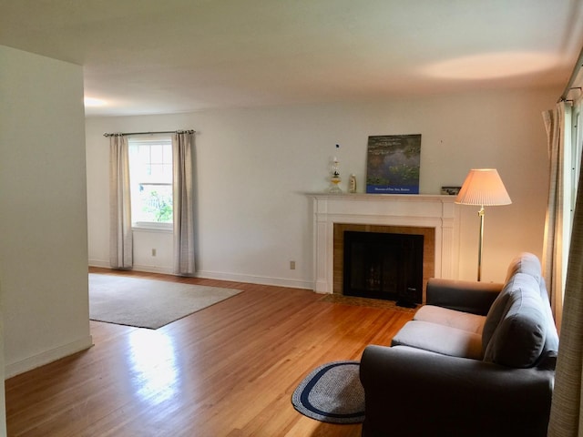5505 Morgan Ave S, Minneapolis, MN 55419 - living room with light wood-type flooring and a tiled fireplace