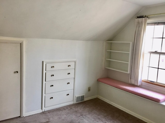 5505 Morgan Ave S, Minneapolis, MN 55419 - additional living space featuring lofted ceiling and carpet