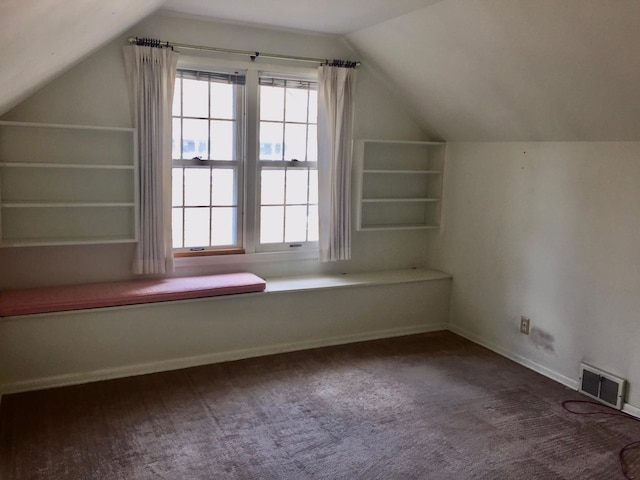 5505 Morgan Ave S, Minneapolis, MN 55419 - bonus room with plenty of natural light, vaulted ceiling, and carpet flooring