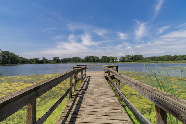 4700 Xerxes Ave N, Minneapolis, MN 55430 - dock with a water view