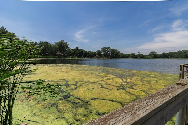 4700 Xerxes Ave N, Minneapolis, MN 55430 - water view