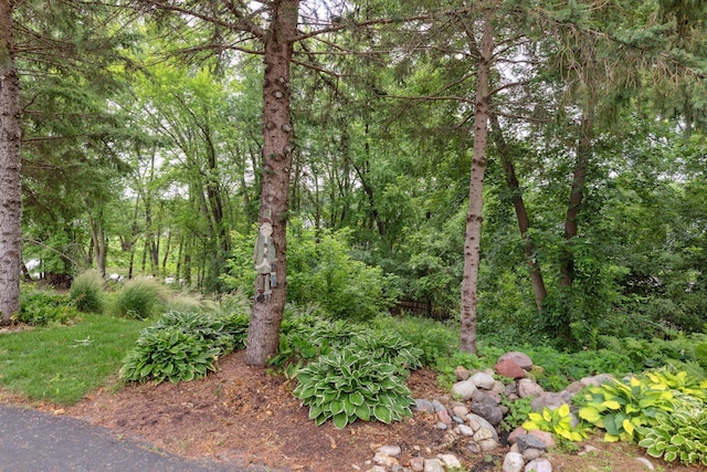 560 Lakeside Bay Dr S, Bayport, MN 55003 - photo 30