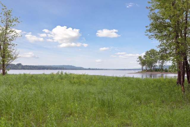 560 Lakeside Bay Dr S, Bayport, MN 55003 - photo 31