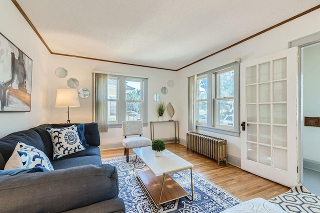 2810 Morgan Ave N, Minneapolis, MN 55411 - living room with radiator heating unit, crown molding, healthy amount of natural light, a textured ceiling, and light wood-type flooring