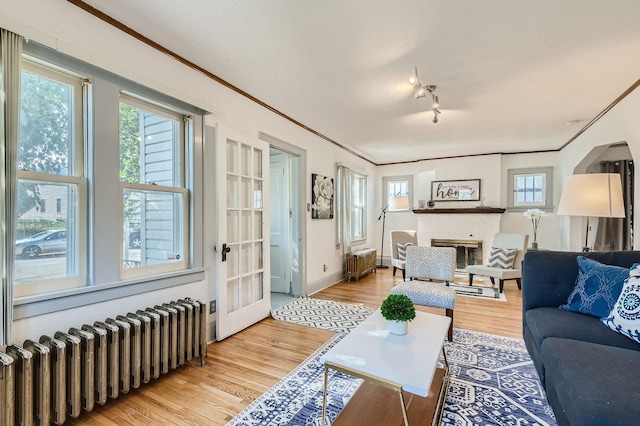 2810 Morgan Ave N, Minneapolis, MN 55411 - living room featuring radiator heating unit, ornamental molding, wood finished floors, and a fireplace