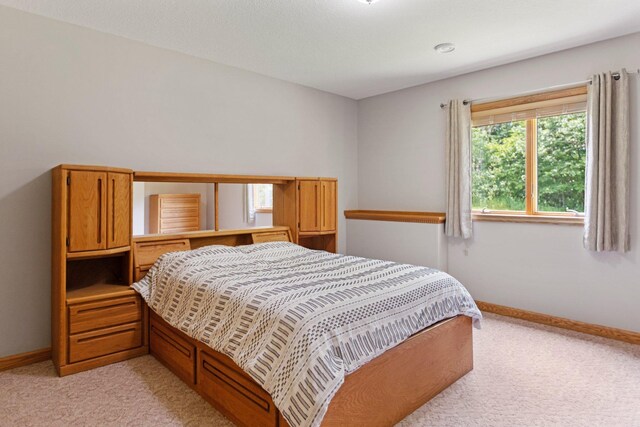 16110 Giefer Ave, Wheeling Twp, MN 55053 - photo 36