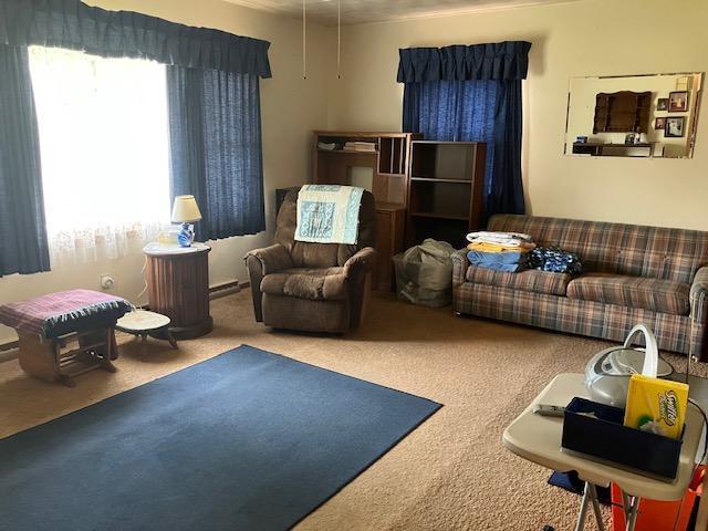 618 9th Ave SE, Waseca, MN 56093 - photo 4