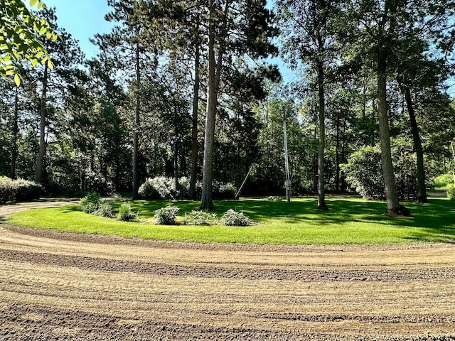 15740 River Lake Dr, Menahga, MN 56464 - photo 55
