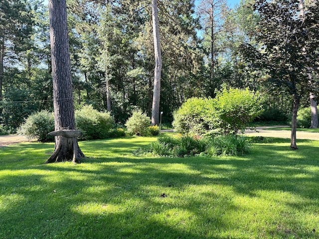 15740 River Lake Dr, Menahga, MN 56464 - photo 56