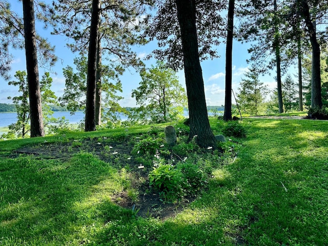 15740 River Lake Dr, Menahga, MN 56464 - photo 60