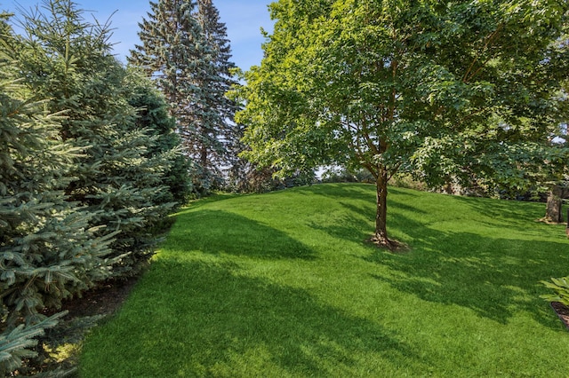 11345 36th Pl N, Plymouth, MN 55441 - photo 27