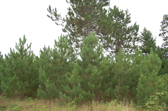 TBD Darsnek Road, Emily, MN 56447 - photo 2