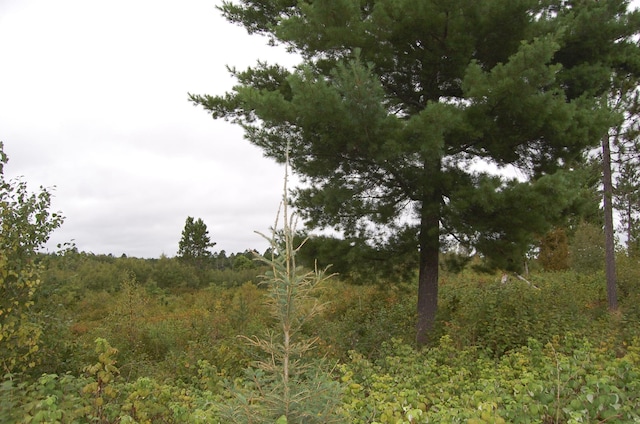 TBD Darsnek Road, Emily, MN 56447 - photo 3
