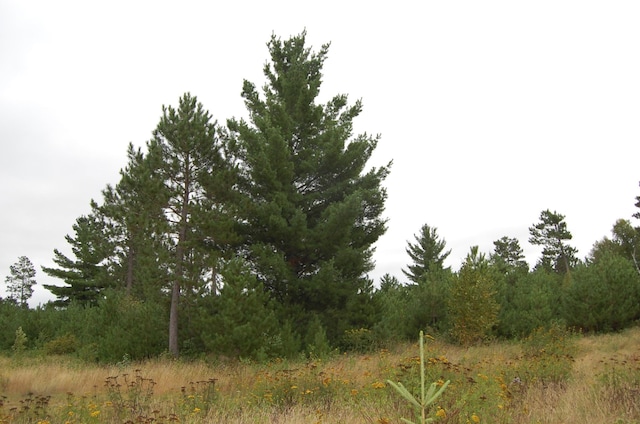 TBD Darsnek Road, Emily, MN 56447 - photo 4