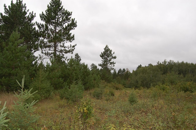TBD Darsnek Road, Emily, MN 56447 - photo 5