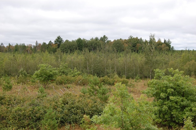TBD Darsnek Road, Emily, MN 56447 - photo 7