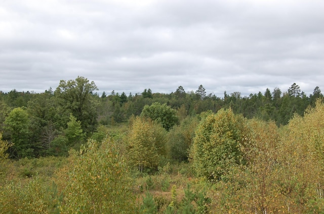 TBD Darsnek Road, Emily, MN 56447 - photo 8