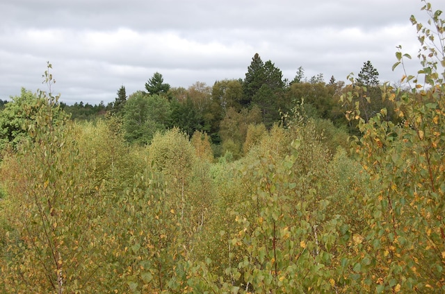 TBD Darsnek Road, Emily, MN 56447 - photo 9