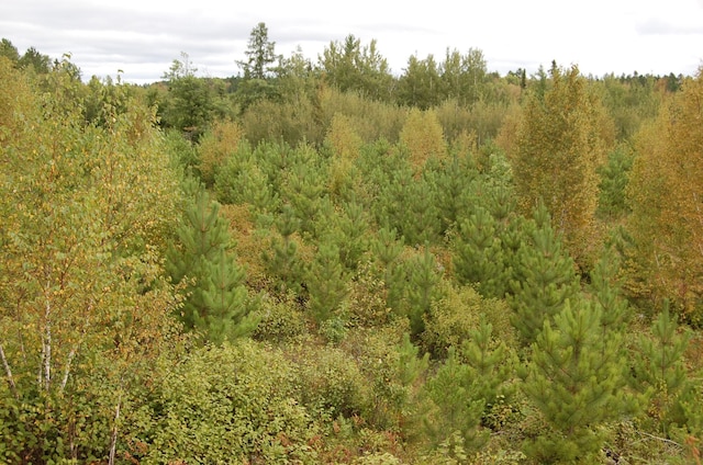 TBD Darsnek Road, Emily, MN 56447 - photo 10