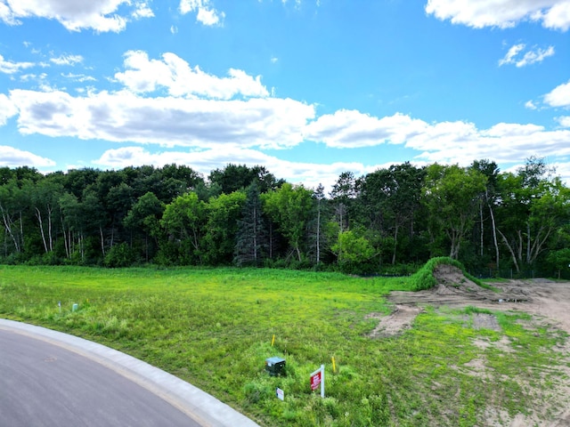 24188 Polk St NE, East Bethel, MN 55005 - photo 3