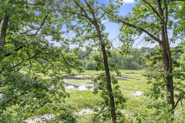 2671 Sumac Rdg, White Bear Lake, MN 55110 - view of yard featuring a water view and a view of trees