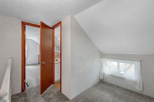 3820 8th St, Owatonna, MN 55060 - additional living space with carpet, vaulted ceiling, and a textured ceiling