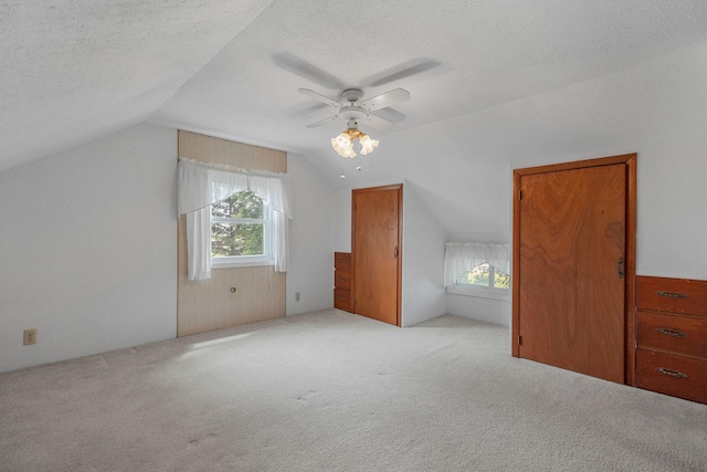 3820 8th St, Owatonna, MN 55060 - additional living space featuring vaulted ceiling, a ceiling fan, carpet floors, plenty of natural light, and a textured ceiling