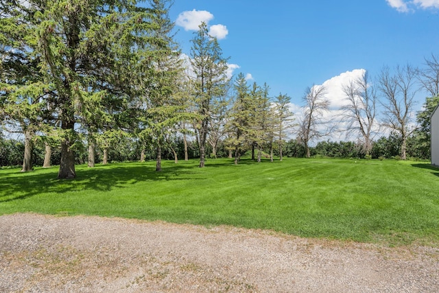 3820 8th St, Owatonna, MN 55060 - view of green lawn