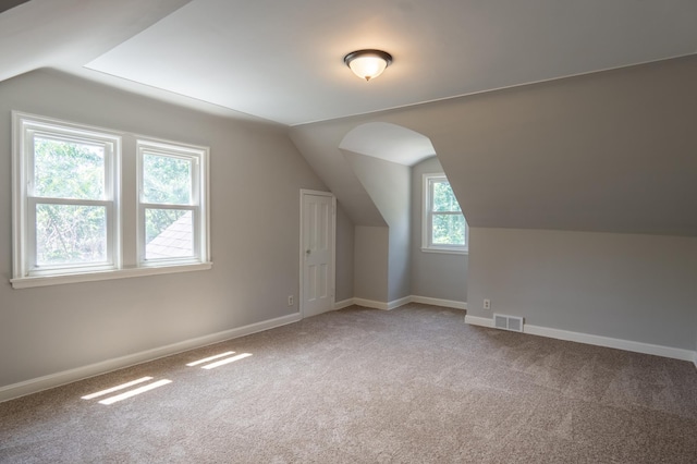 3410 Dupont Ave N, Minneapolis, MN 55412 - additional living space featuring carpet flooring and vaulted ceiling