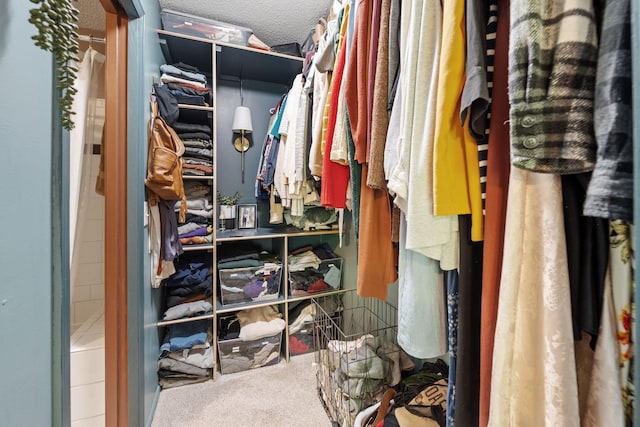6502 Lancaster Ln N, Maple Grove, MN 55369 - spacious closet featuring carpet flooring