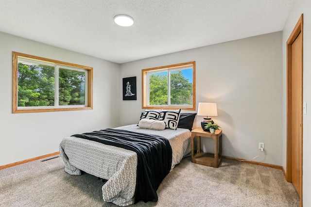 11883 Marigold Way, Lindstrom, MN 55045 - bedroom featuring carpet and baseboards