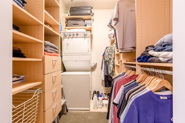521 2nd St SE Unit 307, Minneapolis, MN 55414 - walk in closet featuring carpet