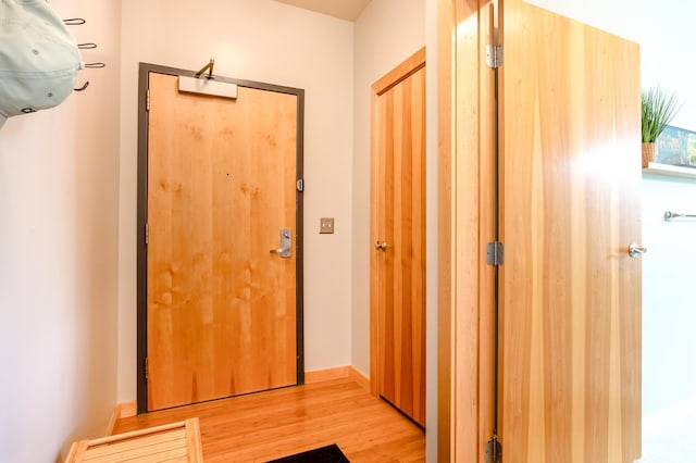 521 2nd St SE Unit 307, Minneapolis, MN 55414 - hallway with light wood-type flooring