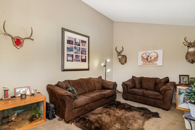 7230 Clear Rdg, Centerville, MN 55038 - view of carpeted living area