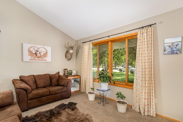 7230 Clear Rdg, Centerville, MN 55038 - living area featuring carpet flooring and vaulted ceiling