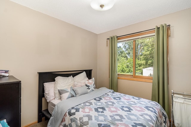 7230 Clear Rdg, Centerville, MN 55038 - view of bedroom